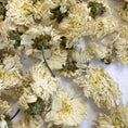 Load image into Gallery viewer, Gus + Mabel Delightful Dried Flowers 30g - Cheeky Junior
