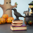 Load image into Gallery viewer, Bumbu Toys - Raven
