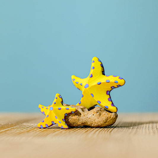 Bumbu Toys  Starfish Set (Yellow and Red) - Cheeky Junior