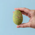 Load image into Gallery viewer, Bumbu Toys T-Rex Eggs - Cheeky Junior
